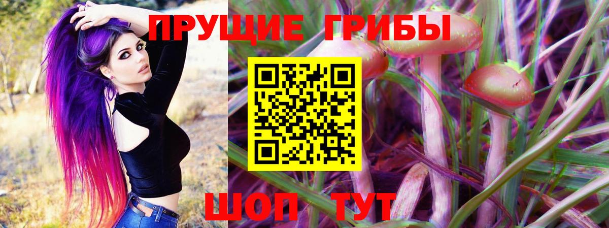 Псилоцибиновые грибы Psilocybine cubensis Тихорецк