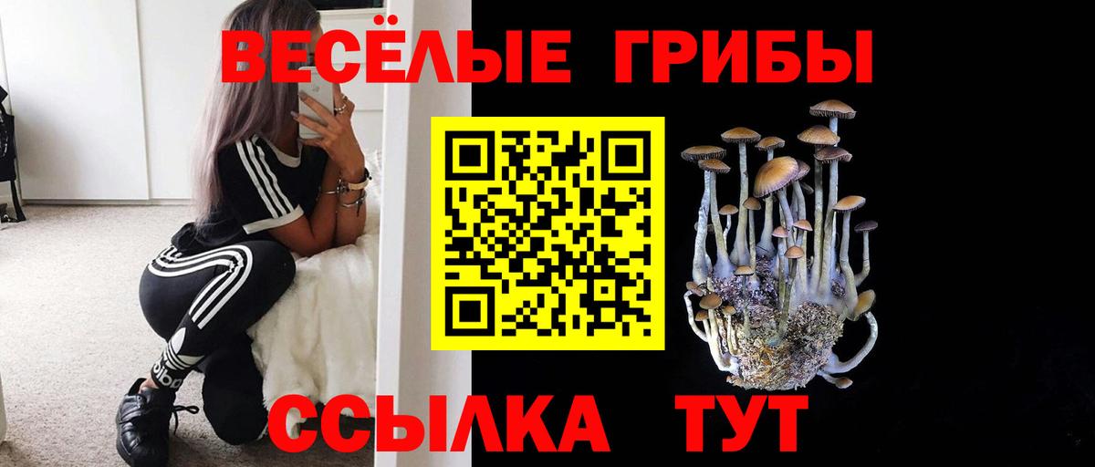 Псилоцибиновые грибы Magic Shrooms  Вход с VPN  Тихорецк 
